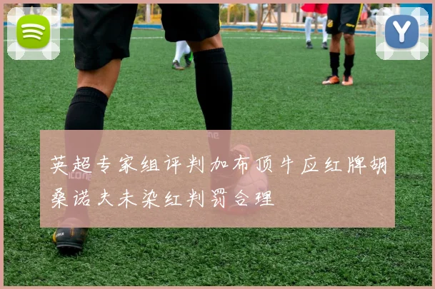 英超专家组评判加布顶牛应红牌胡桑诺夫未染红判罚合理